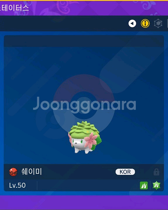 쉐이미 (배포) | 포켓몬 분양--0