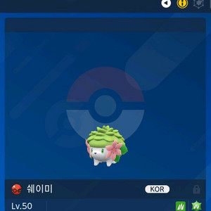 쉐이미 (배포) | 포켓몬 분양