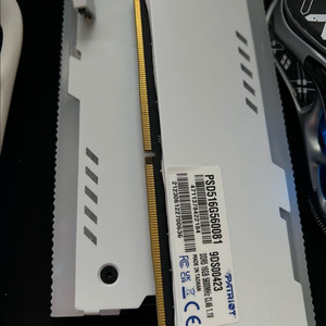 패트리어트 ddr5 16g2개 32g 5600mhz