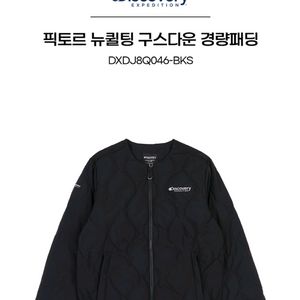 디스커버리 구스다운 경량패딩