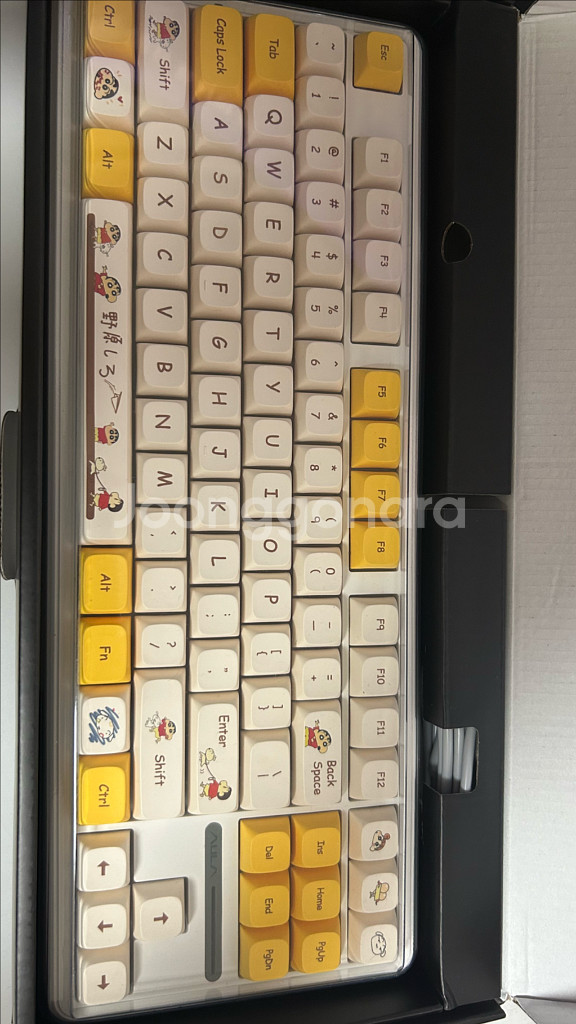 AULA F87 황축 키보드(독거미)--0