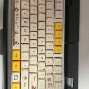 AULA F87 황축 키보드(독거미)