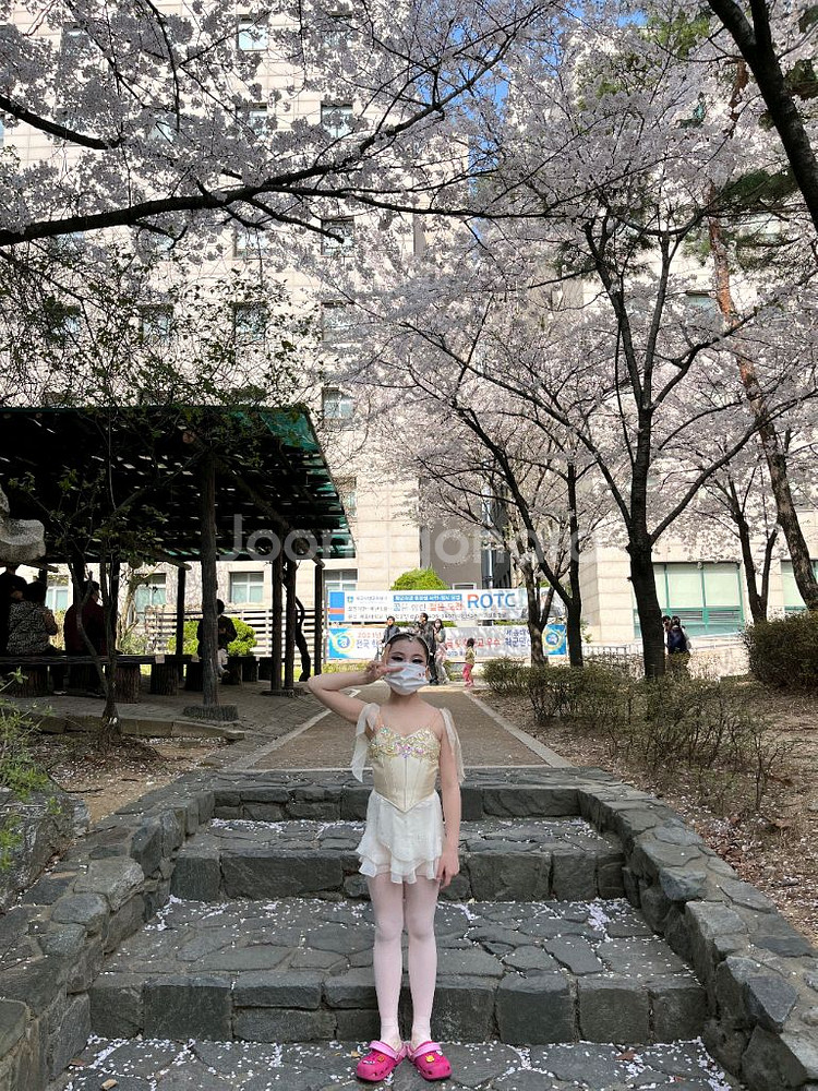 발레의상 클래식(큐피트) 초3~5--2