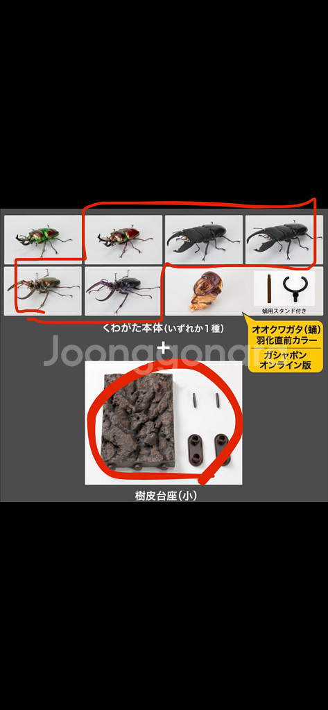 생물대도감 사슴벌레 10 수피 세트 포함 5개 묶음--0
