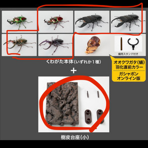생물대도감 사슴벌레 10 수피 세트 포함 5개 묶음