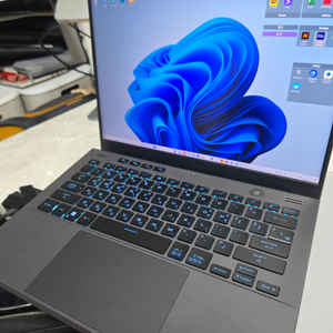 ASUS ROG G14 라이젠9 RTX4070 32램