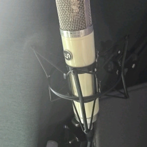 웜오디오 wa251
