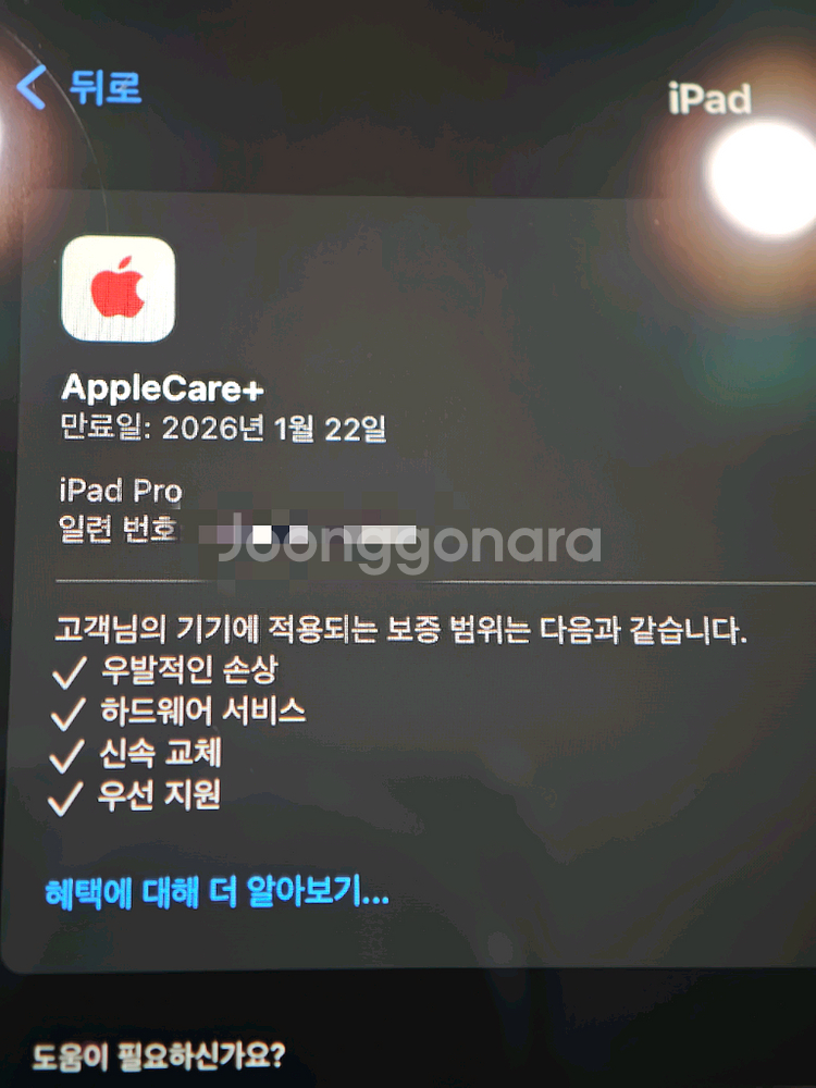 아이패드 프로2 11 셀룰러 애케플 애플펜슬2--4