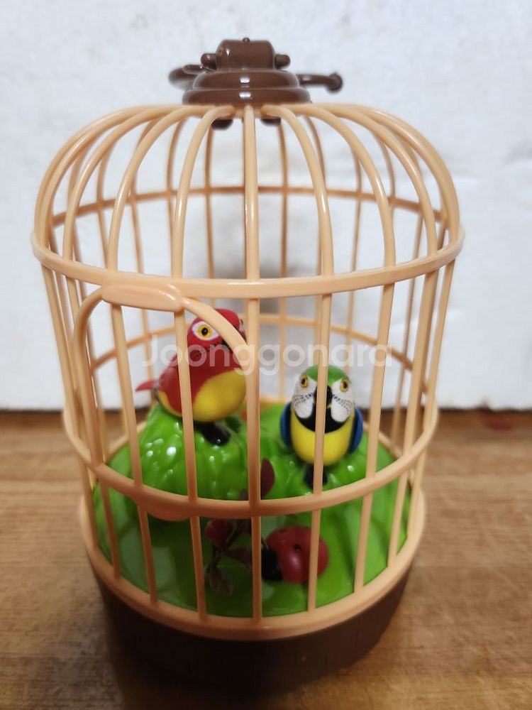 새장속 말하는 앵무새--0