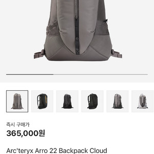 아크테릭스 아로 22 백팩 클라우드