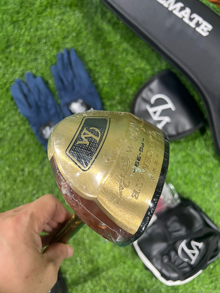 렌스메이트파크골프채 12종세트 pg39싸게 팜 이미지