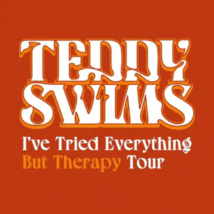테디 스윔스 내한콘서트 티켓양도 TEDDY SWIMS