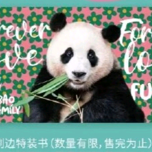 중국어판 전지적 푸바오 시점 담요 판매합니다!