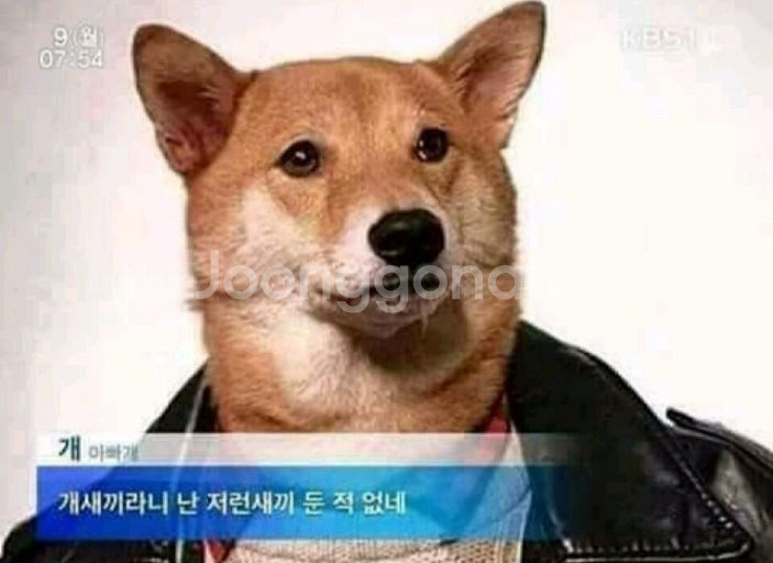 현대백화점카드--0