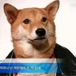 현대백화점카드