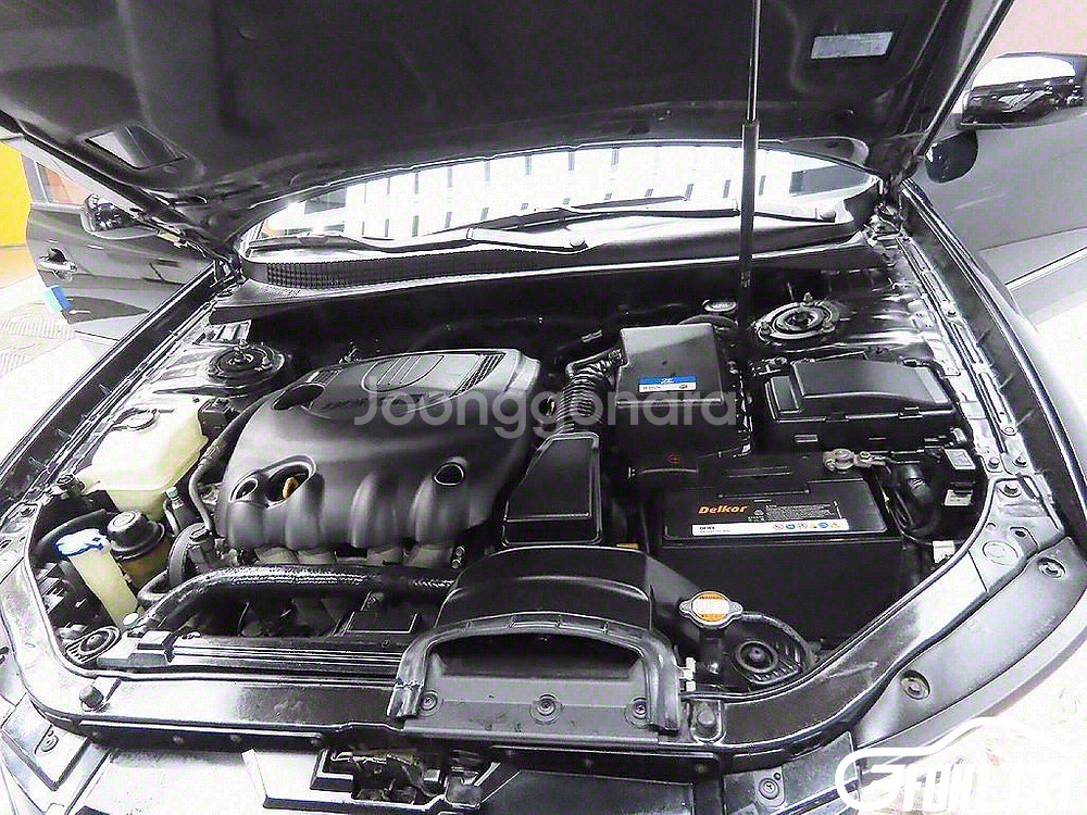 [현대]NF 쏘나타 트랜스폼 N20 LPG 프리미어 (--6