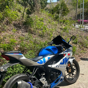 스즈키 gsx r-125 21년식 스페셜 카울