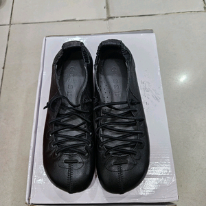 지쎄단화(245)
