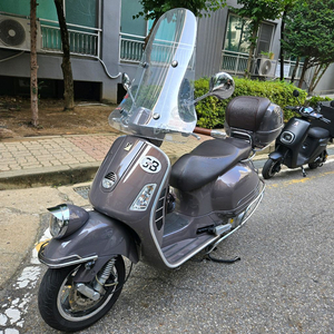 베스파 세이조르니 V300