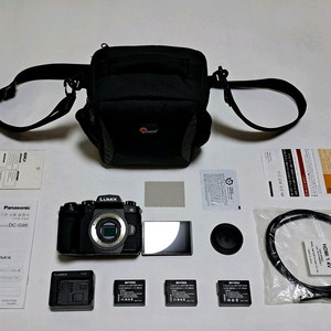 파나소닉 루믹스 G95 (4K,풀터치,손떨방,방진방적)
