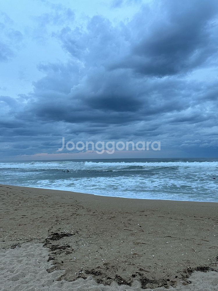 제주 2박3일 여행 렌트+숙박 할인권--0