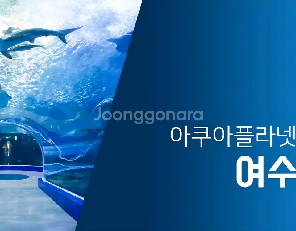 여수 아쿠아플라 종일권 +헬가스텐첼 사진전2+5D상영관--0