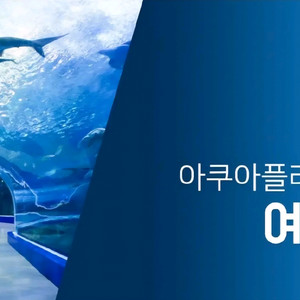 여수 아쿠아플라 종일권 +헬가스텐첼 사진전2+5D상영관