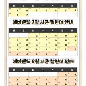 에버랜드 종일권