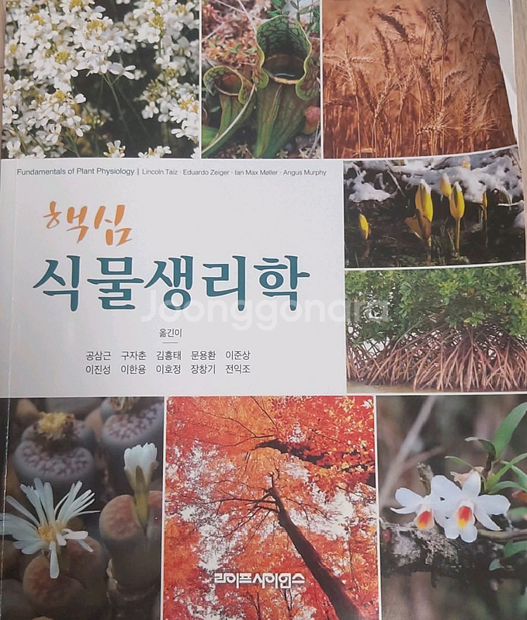 핵심 식물생리학--0