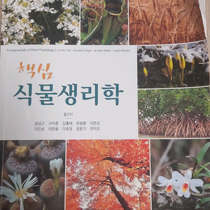 핵심 식물생리학