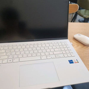 LG그램 16ZD90RU-GX56K