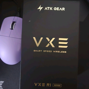 vxe rq pro max 팝니자