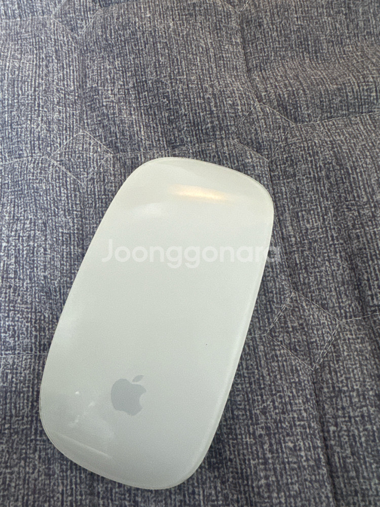 2019 맥북 프로 15 i7 램16GB (매직마우스--0