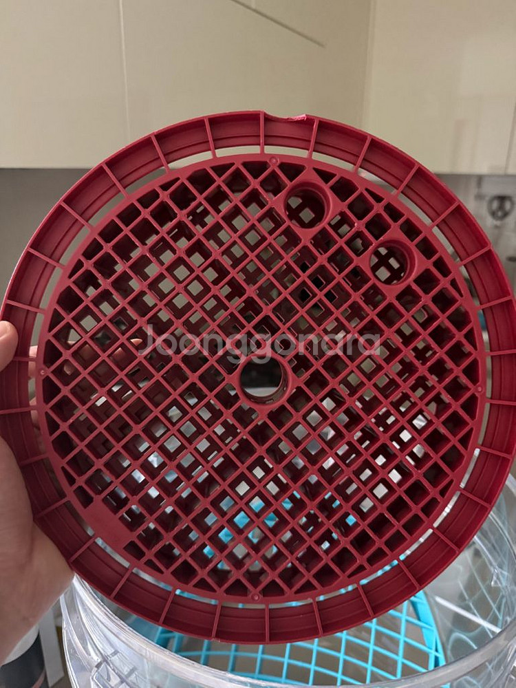 [급처]디테일링 크리스탈 버킷+오플릭스 3인치 돌리 팜--2