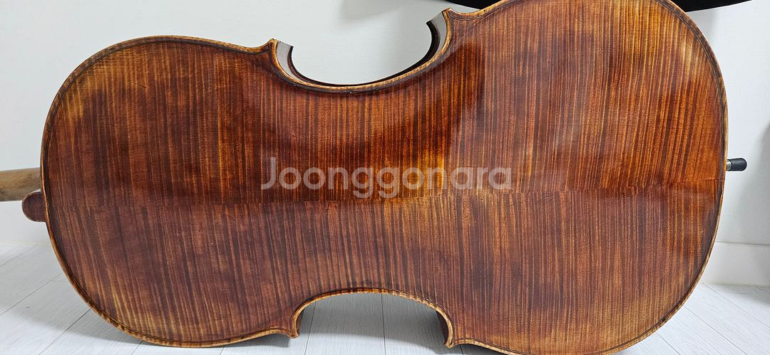 정현 첼로 600 새 악기--0