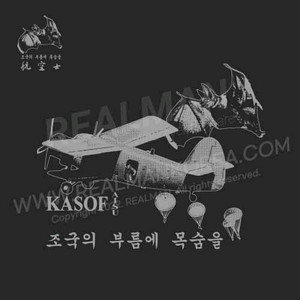 리얼맨 워든 육,해,공 차수티 기수티 중대티 구합니다