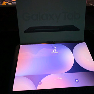 갤럭시 탭 S10 울트라 512GB문스톤 그레이wifi