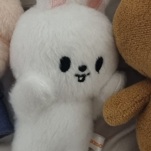 스트레이키즈 굿즈 스키주