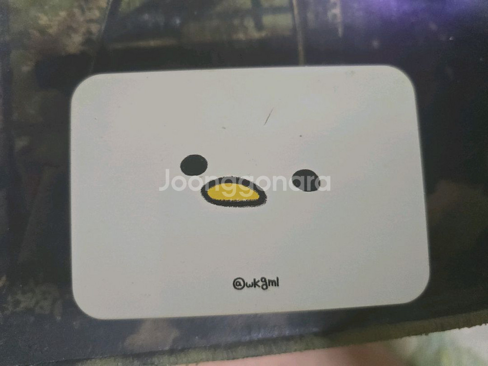 스트리머 견자희님 키캡 포토카드--0