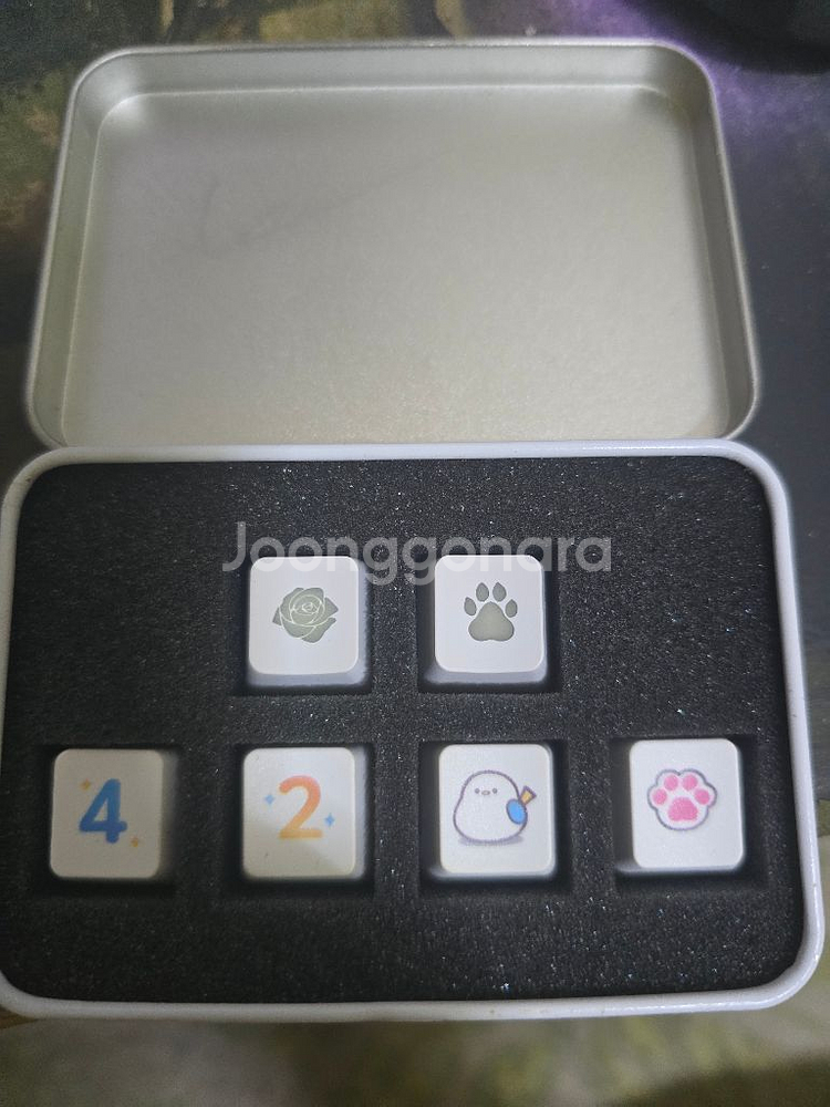 스트리머 견자희님 키캡 포토카드--2