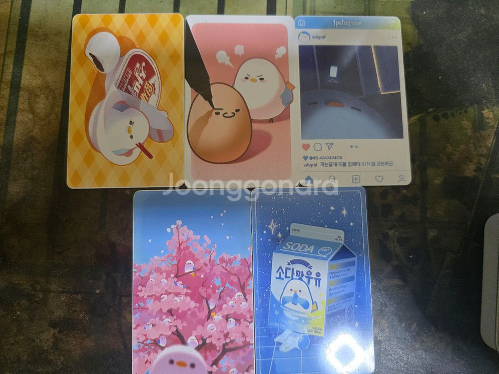 스트리머 견자희님 키캡 포토카드--1