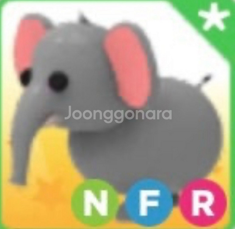 입양하세요 코끼리--0