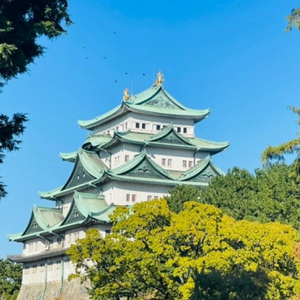 일본 구매 대행 / 후쿠오카 (7.24)