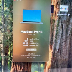 맥북 프로 16 M1 Pro(16g,512g) 대구