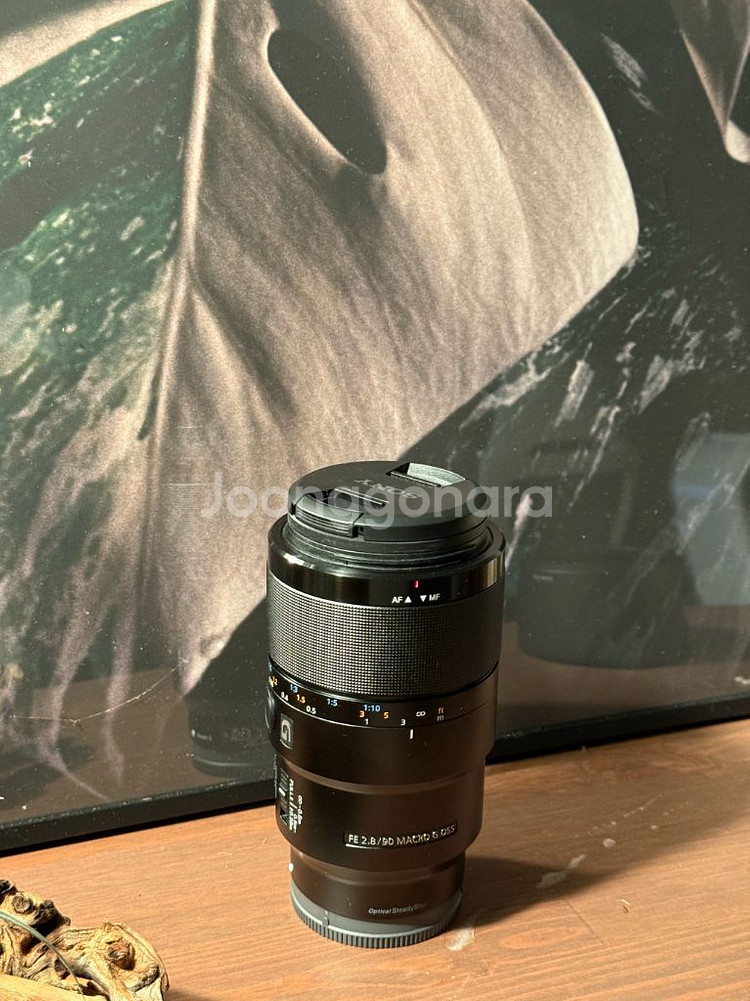 소니FE 90mm F2.8 Macro G OSS--0