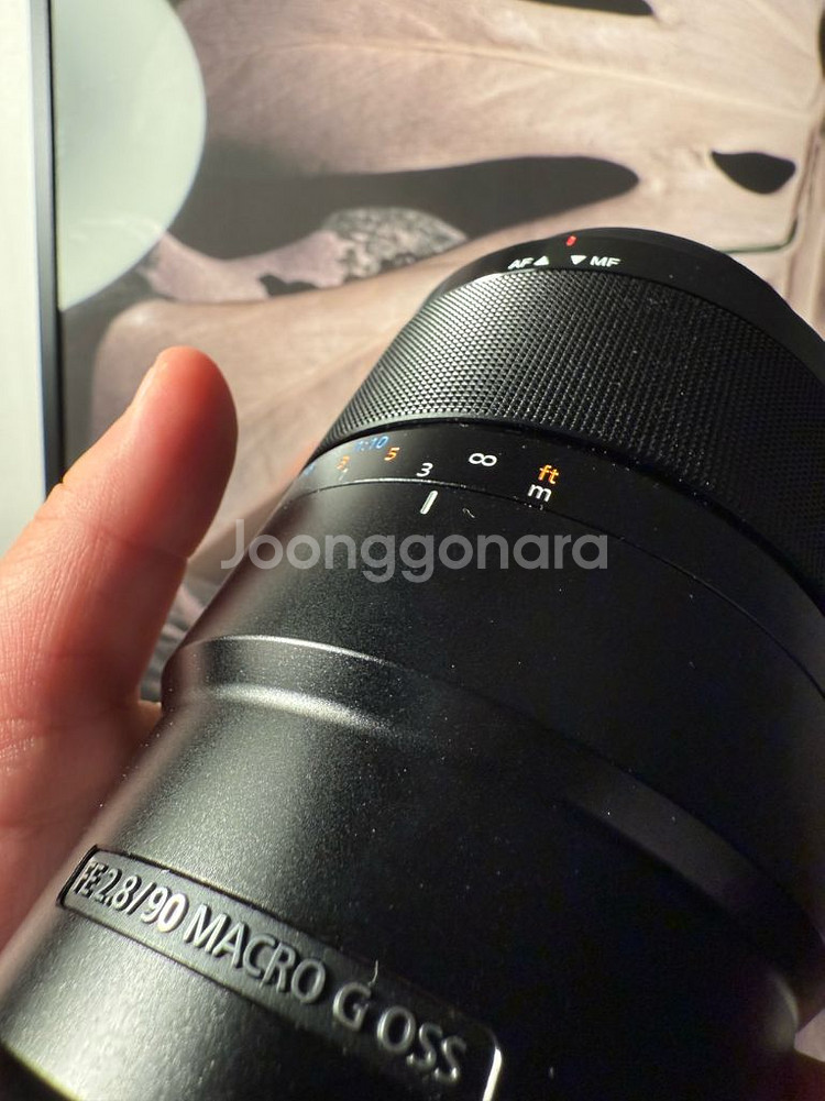 소니FE 90mm F2.8 Macro G OSS--3