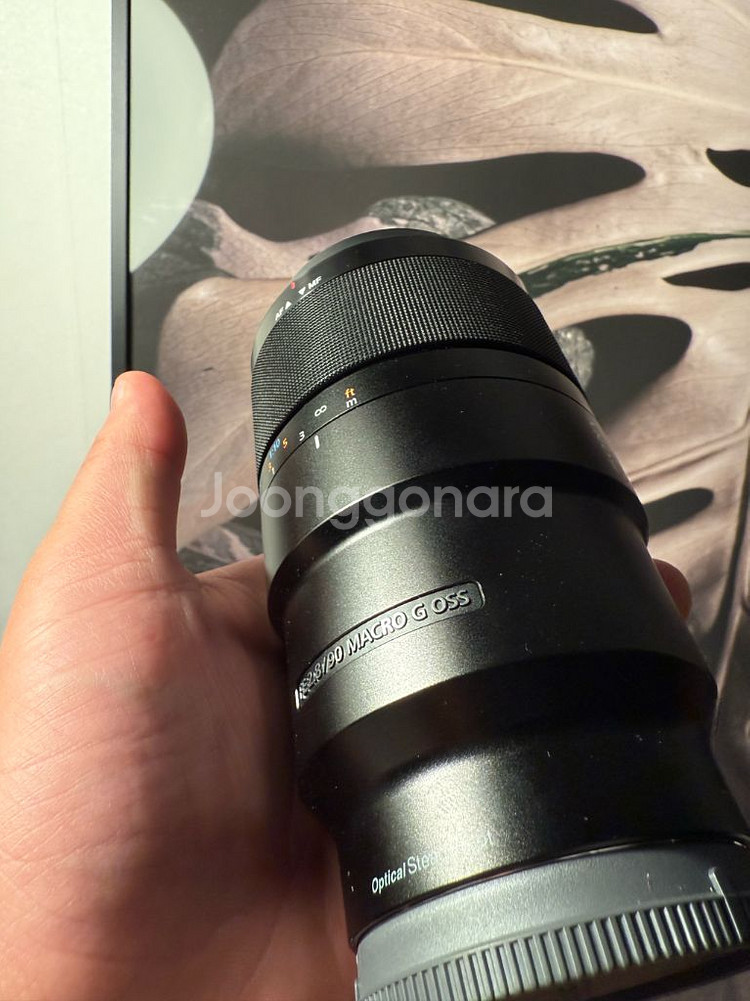 소니FE 90mm F2.8 Macro G OSS--1