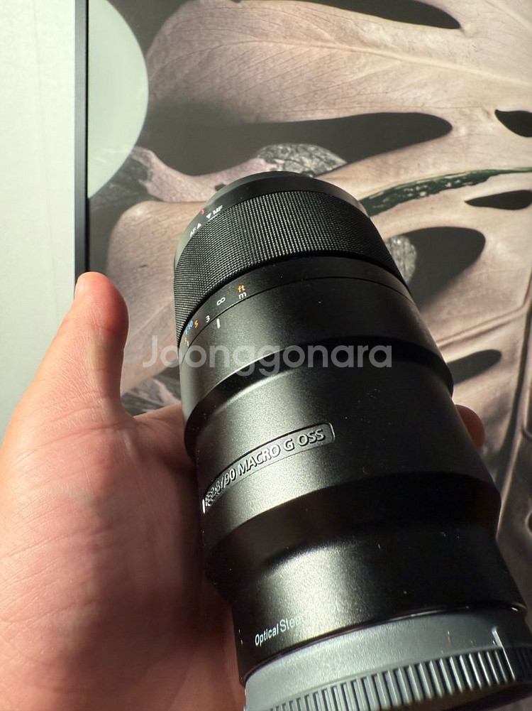 소니FE 90mm F2.8 Macro G OSS--2