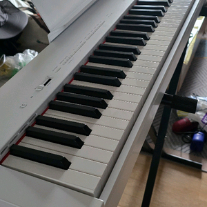 YAMAHA P225