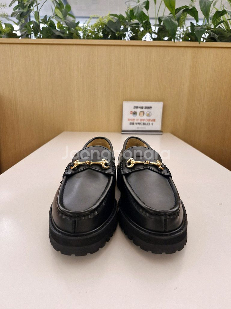 피렌체아뜨리에 홀스빗로퍼 265 (운동화270신는분춘천--2